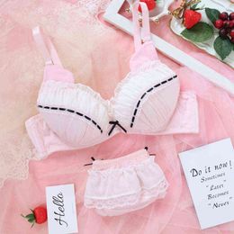 NXY sexy set Young Girl Women's Cute Cat Underwear Sweet Lolita Bow Lace Trim Panties Lingerie Push Up Bra Pink 1128