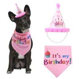 Dog Apparel Pet Hat Set Headwear Prop Scarf Fashion Festival Adorable Decoration Reusable Party Accessory Birthday Costume Cute Gift