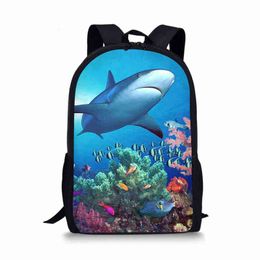 shark school bolsa