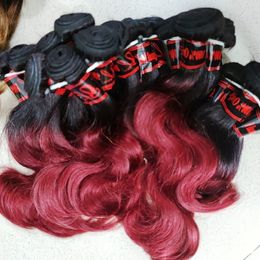 Babe lovely affordable 1 kilo malaysian human hair weft 20pcs/lot Coloured hair extension natural wavy