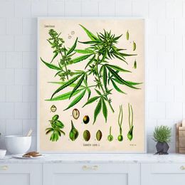 vintage botanical prints Australia - Paintings Illustration Vintage Poster Botanical Print Plant Canvas Painting Wall Art Pictures Living Room Home Decor
