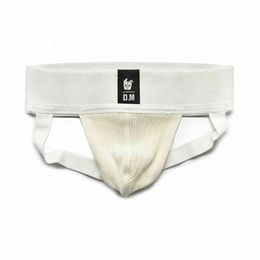 Male Gay Underpants String Wool Men's Thongs Sissy Panties Tanga Hombre Solid Jockstrap Sexy Men Underwear Lenceria