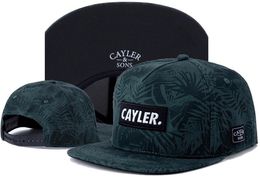 Cayler & Sons ORTAKEIT Baseball Caps 2020 New Arrival Bone gorras Men Hip Hop Cap Sport Fashion Flat-brimmed Hat Snapback Hatsn22