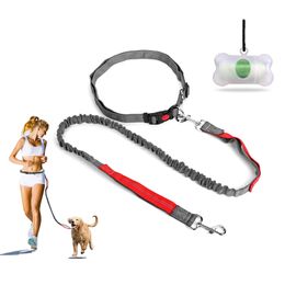 Adjustable Dog Leash Hands Free Leash for Running Walking Training Hiking Dual Handle Lead Shock Absorbing Bungee Dog Lead 210729