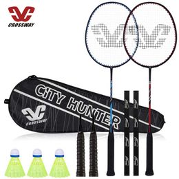 Sports Badminton Rackets Set 2 Pcs Lightweight Carbon Shaft Nylon Birdies for Two Players Adults Youth Beginners Family Couples 2U5244854