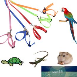 Pet Parrot Small Bird Harness Leash Outdoor Adjustable Training Rope Anti Flying Traction Strap Portable Soft Ultralight Band Factory price expert design Quality