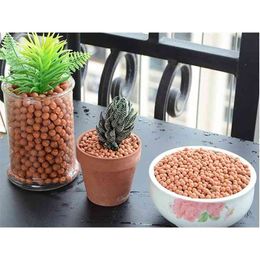 500g Solid Ceramsite Expanded Clay Pebbles Grow Media Orchids Succulent Plant Hydroponics Pellets 210401