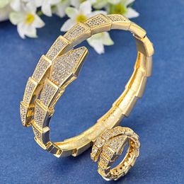 Luxury Brand Bangle and Ring Women's Aaa White Colour Snake Shaped Zircon Bracelet Female Fashion Accessories Best Gift Q0720
