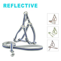Dog Collars & Leashes Nylon Harness Leash Suit Reflective Adjustable Walking Runing Pet For Dogs Outdoor Alloy Tripod Webbing Supplies