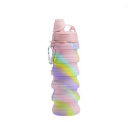 Water Bottle Outdoor Portable Foldable Sports Soft Silicone Beverage Hiking Camping Bag