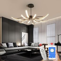 Ceiling Lights Matte Black/White Finished Modern Led For Living Room Bedroom Study Adjustable Lamp