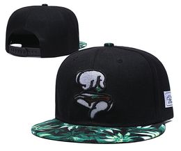 Gute Qualität Snapbacks Snapback Caps Cayler und Söhne Hut Baseball 2021 Hüte Ankunft oben verstellbar Diamanten Versorgung