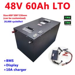 Waterproof LTO 48V 60AH Lithium titanate battery Pack 2.4v LTO battery for AGV Tricycle Solar system scooter +10A Charger