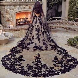 Fashion Black 3M Cathedral Beaded Wedding Veils Lace Appliqued Edge Soft Tulle One Layer Long Bridal Veil With Comb