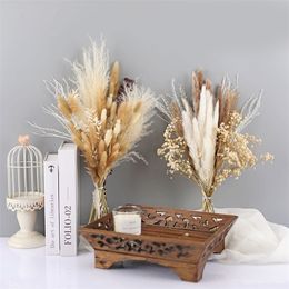 1 Set Wedding Flower Phragmites Reed Rabbit Tail Dried Natural Pampas Grass Decor Christmas Home Living Room Decoration 220311