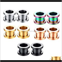 & Drop Delivery 2021 168Pcs Mix 5 Colour Surgical Steel Plugs And Tunnels Ear Expander Screw Earring Stretcher Body Jewellery Piercing Eyelet Ga