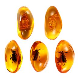 5pcs Amber Fossil with Insects Samples Stones Crystal Specimens Home Decorations Collection Oval Pendant Random Pattern