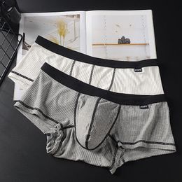2Pcs Mens Striped Cotton Underwear Fashion Sexy Boxers Sports Shorts Breathable Panties Comfortable Male Underpants