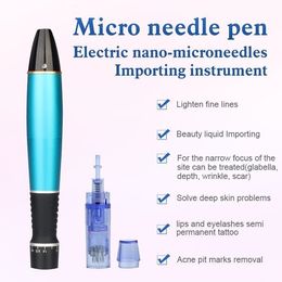 Microneedle System Wireless Dermapen Dr Pen With 2pcs 12 Needles Cartridge Each Tool
