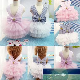 Lace Dress Pet Dog Clothes Striped Fresh Layer Cake Party Birthday Wedding Bowknot Dress Puppy Striped Fresh Pet Clothes