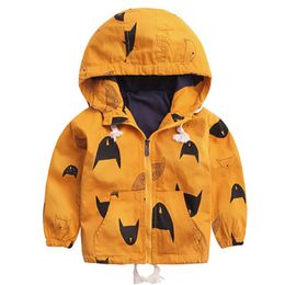 Boys Clothing 2-6Y Autumn Jacket Long Sleeve Outdoor Girls Coat Cartoon Hooded Clothes For Kids 210515