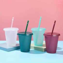 Water Bottle Powder Shiny Reusable Straw Cup Sequined Glitter Coffee Juice Mug Plastic Bottom Outdoor Portable Bicycle