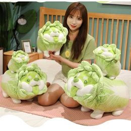 20-50cm Cute Japanese Vegetable Dog Plush Toys Creative Chinese Cabbage Shiba Inu Pillow Stuffed Animal Sofa Cushion Baby Gifts 220209