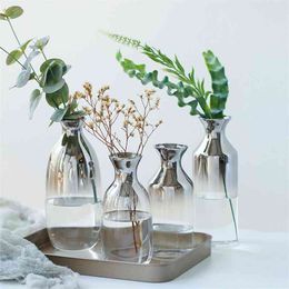 nordic Creative Decorative vase glass decoration home vases Hydroponic Dried flowers vase Terrarium modern living room house 210409