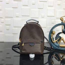 designer Fashion Palm Springs Backpack Mini genuine leather2844
