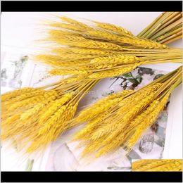 Decorative Wreaths Festive Party Supplies Home & Gardennatural Tassels Dried Flowers Basket Barley Garden Decoration Arrangement Flower Shop