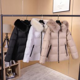 Short Small Look Tall Hooded Large Fur Collar Simple and Elegant down Jacket European Station New Foreign Trade Womens Clothing