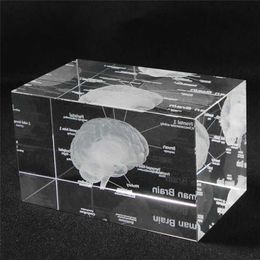 3D Human Anatomical Model Paperweight Laser Etched Brain Crystal Glass Cube Anatomy Mind Neurology Thinking Science Gift 211108