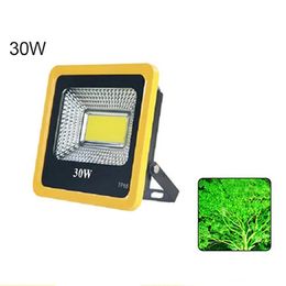 30w Cob Led Garden Light Search Lamp Outdoor Tree Projector lamp Colourful Waterproof Flood Light