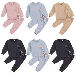 Lioraitiin 0-24m Mewborn Baby Girls Boys Solid Colour Clothes Set Rainbow Embroidery Long Sleeve O-neck Tops + Long Pants G1023