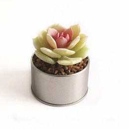 Decorative Flowers & Wreaths Realistic Mini Floral Simulation Succulent Small Potted Artificial Decor