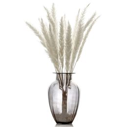 15pcs Natural Dried Small Pampas Grass white pink color Wedding flowers Decoration Bouquet Phragmites rabbit tail Grass Bouquet 210925