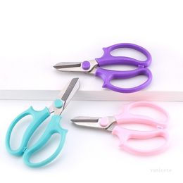 Pruning pliers Stainless steel scissors straight head Colour garden flower shop flower pruning scissors flower T2I52112