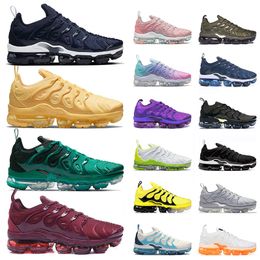 NIKE Air VAPORMAX Plus Tn - Pure Platinium