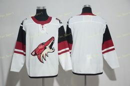 Reverse Retro Arizona Coyotes 9 Clayton Keller Jersey Ice Hockey 81 Phil  Kessel 23 Oliver Ekman Larsson 97 Jeremy Roenick Vintage Stitched Home  Black Purple White From Top_sport_mall, $23.32