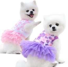 Dog Apparel Pet skirt cat clothes spring and summer dogS clothes teddy bear products DD786