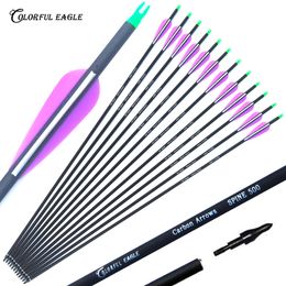 28" 30" 31" Archery Carbon Arrows Spine 500 with 3" plastic Vanes Replace Points Hunting Shooting Compound Recurve bow arrow