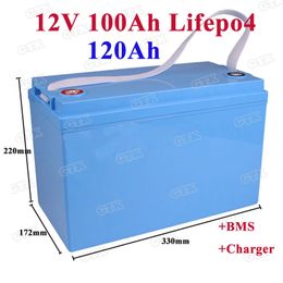 Rechargeable lifepo4 12v 100ah 120ah lithium battery pack with BMS for electric tricycle power boat inverter battery+10A Charger