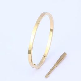 Love A Bangle Classic N Edition Fashion Bracelet Womens Mens Designer Jewellery Gold Stainless Steel Design Men Nail Charm Couple Bracelets Bang 4734 ail s