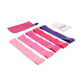 Resistance Band Set Exercise Band for Fitness Strength Training Stretch Physical Therapy Yoga 5-40lb Pink Gradient Carry Bag H1026