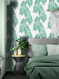 Wallpapers Self Adhesive Sticker Peel And Stick Wallpaper Contact Paper Tropical Palm Removable Green White Colourful Wall