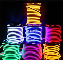 220V Newly LED Toys strip lights waterproof IP65 flexible SMD2835 120 leds both side glowing high bright 8 Colours neon light wholesale 50m+