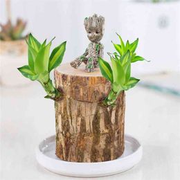 Brazil Lucky Wooden Table Top Ornaments Decorate Small Potted Plants To Purify The Air 210811
