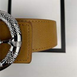 belt designer luxury brand high-quality men's and women's belts 5 Colours wide 3 8cm snake head three-color buckle275Y