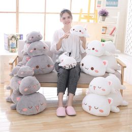 Super soft cuddly cat doll plush toy pillow to accompany sleeping on the bed Rag