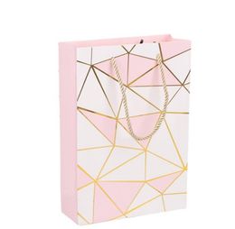 2021 Pink Colour Paper Gift Bag with Handle Valentine's Day Wedding Birthday Party Packing Bags